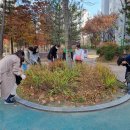 샛별초교 이미지