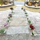 꽃향기한정식 이미지