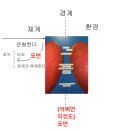 덴탈기획 | 《덴탈 크리틱 : 움직이는 치아들의 비평장》 - 미술구술 워크숍 (기획) 후기