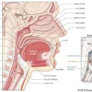 하남부부한의원 이미지