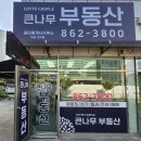 23기 한지혜 님의 (롯데캐슬 큰나무부동산) 개업소식을 알립니다 ♥ 이미지
