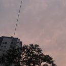 60계치킨 수원팔달점 이미지