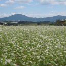 정정농장 이미지