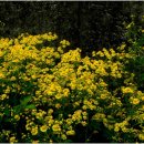 귀순농장 이미지