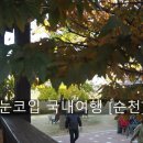 대부수산정원