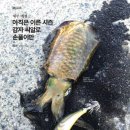 도서출판월간제주사랑