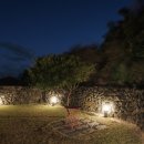 벵디1967 이미지