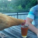 치킨필레오 이미지