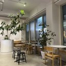파티세리소신2 이미지
