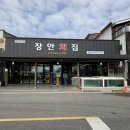 장안1 | 강릉 풍자 또간집 1등 장안횟집 솔직후기