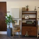 여름식물 인테리어 이미지