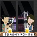 묻지마관광 이미지
