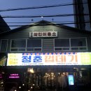 청춘이용소