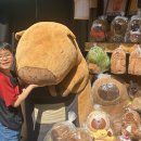 인형의 거리(원숭이 이미지