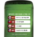 “한국은 음주운전 처벌이 너무 관대… 얼마나 더 희생돼야 하나요” 이미지