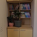 더네이처소아청소년과의원 이미지