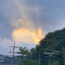 삼포목장 | [강원도여행] 강릉 김피탕 맛집 육영탕수육, 평창 양떼목장 삼양라운드힐,고성 파랑뷰 호텔