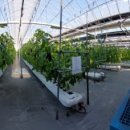 영하농장 이미지