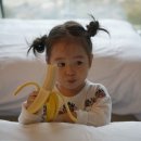 금은파크 이미지