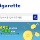 #담^^배 해외배송신규쇼핑몰 "Bigarette"입니다 이미지