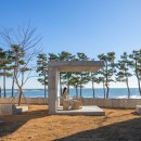 미므미므 이미지