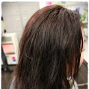 도도헤어(dodohair)