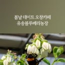 유송농장 이미지