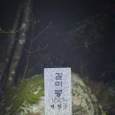 백두대간 3-37-25 구간 이미지