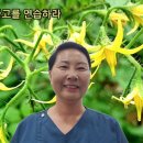 긍정적 사고를 연습해 봅시다 이미지