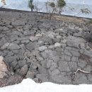 이기철농장 이미지