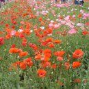 학산3리 이미지