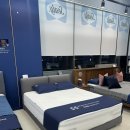 결혼준비 여덟번째🛏️, 씰리 침대 비교 에오스2 내돈내산 후기