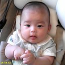 하이라라 토이카메라 디토카메라 사용느낌 후기 + 인물사진 어떻게 나올까? (실제 디카 &amp; 필카와 비교)