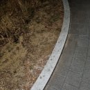 꿀꿀이촌 이미지