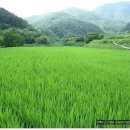 묘산면사무소 이미지