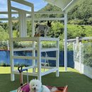 충주경찰서 | [키다리의자 마당대여] 충북 충주 애견운동장 애견펜션 마당대여 프라이빗공간