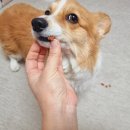 삼장약국 이미지