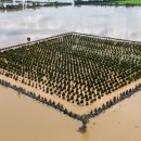 홍의동농장 이미지