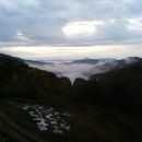 마라농장 이미지