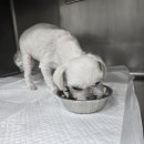 온누리 동물의료센터 이미지