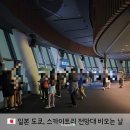 도쿄 스카이트리 전망대 비오는날 흐린날 후기