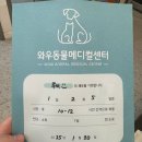[후기] 익산 와우동물메디컬센터 방문 후기