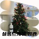 살롱드케이 - 중구 | 정관미용실 살롱드케이 정관점 자연스러운 열펌 후기