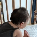 베이커리회회 | [육아일기] 6월의 일상3: 우리의 첫 신혼집을 떠나며