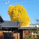 삼천포한옥집 이미지