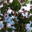 운암지 수변공원 이미지