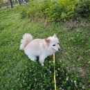 (주)닥터엔누리 이미지