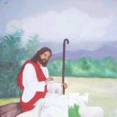 주일화학주식회사 이미지