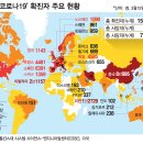 개나리약국 이미지