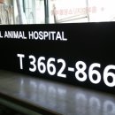 서서울 동물병원 이미지